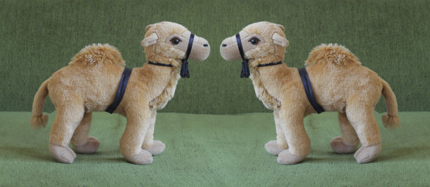 沙发背景上的骆驼娃娃图片下载