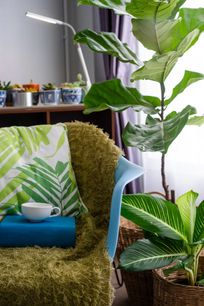 客厅内设椅子和绿树图片下载