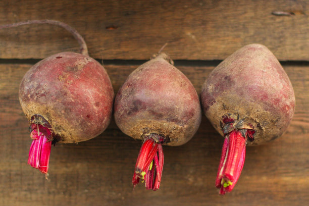 甜菜(新鲜收获的蔬菜)。前视图。本空间图片下载