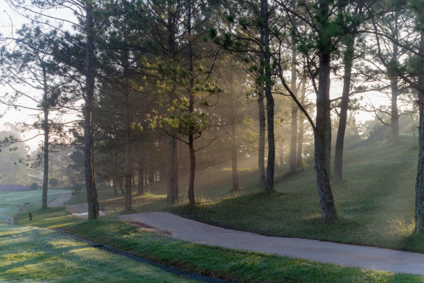 大自然有着神奇的阳光、阳光、绿油油的草地。照片用于高尔夫球的创意设计，清新的环境图片下载