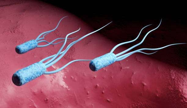 大肠杆菌(E. coli)细菌图片下载