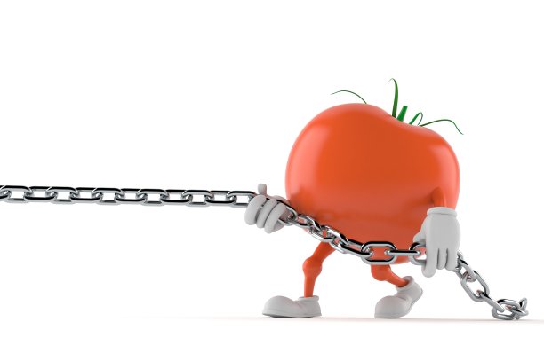 番茄性状拉链图片下载