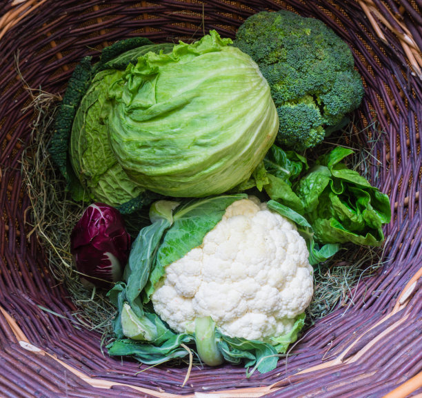 柳条篮子和蔬菜在干草图片下载