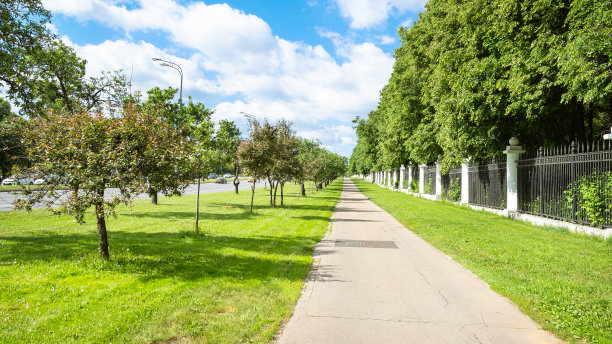有苹果树的草坪和沿着花园的小路图片下载
