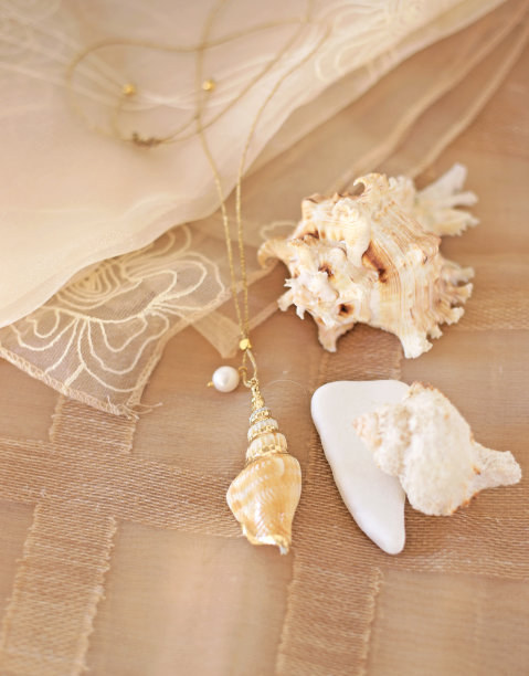 时尚的贝壳项链-夏季珠宝广告-棕色薄纱背景图片下载