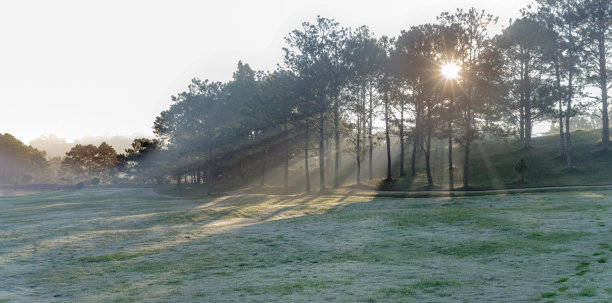 大自然有着神奇的阳光、阳光、绿油油的草地。照片用于高尔夫球的创意设计，清新的环境图片下载