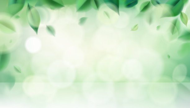 绿色的春天，大自然的背景与树叶图片下载