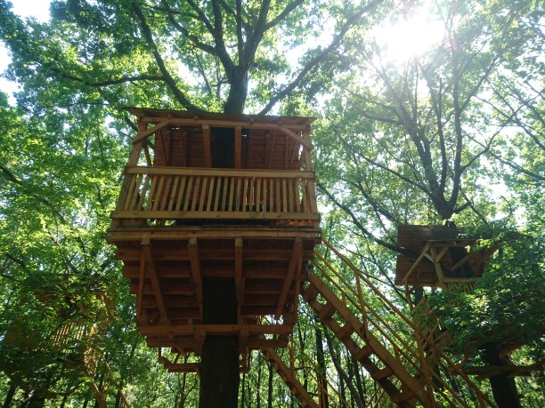 森林里的树屋图片下载