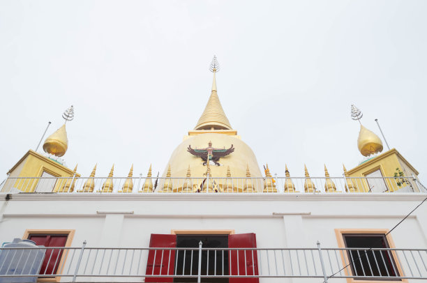 什么Hongthong图片下载