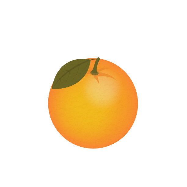 橙色，水果，柑橘病媒分离在白色背景上图片下载