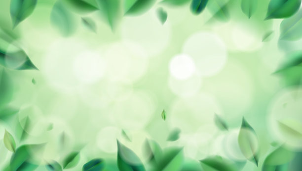 绿色的春天，大自然的背景与树叶图片下载