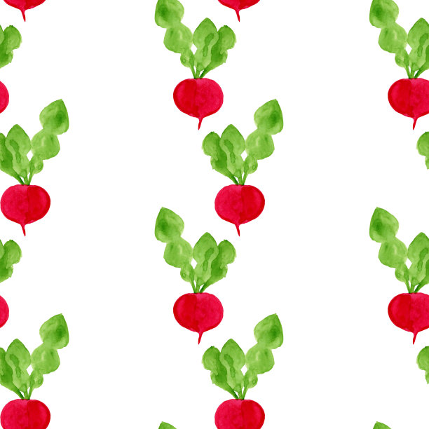 水彩无缝图案用萝卜图片下载