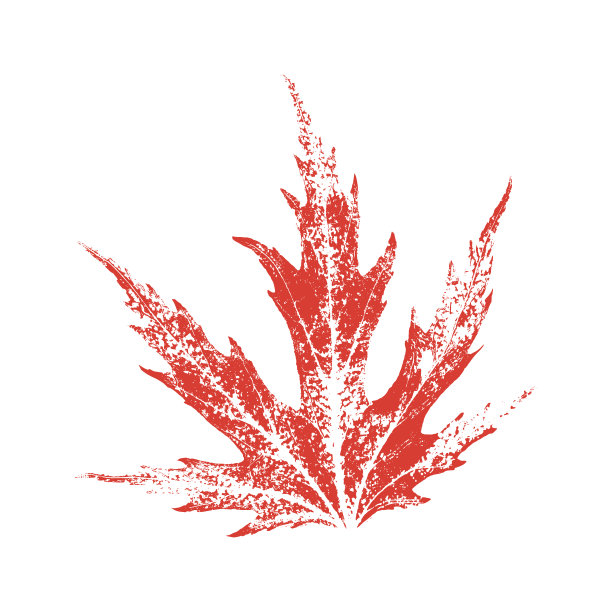 垃圾摇滚风格的红色枫叶。矢量图图片下载