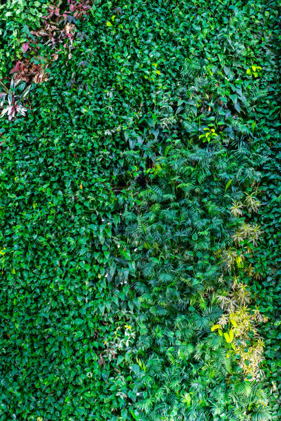 复古绿草墙背景纹理图片下载