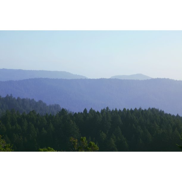 山景城图片下载