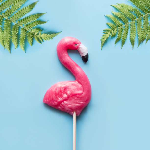一个粉红色的火烈鸟糖果棒棒糖和热带蕨类在蓝色。前视图。有趣的小假期概念。图片下载