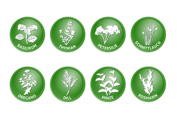 草药，载体，烹煮，品尝，味道，香气，吃，叶子，收集图片下载