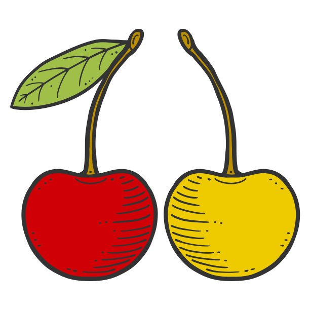 有机新鲜的樱桃。矢量概念涂鸦和素描风格。图片下载