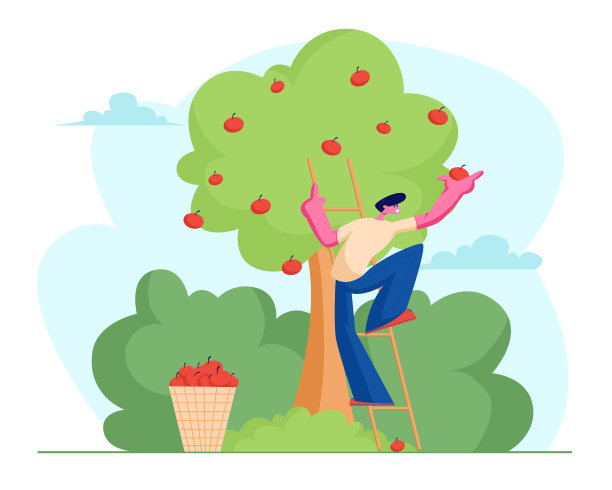 农夫摘苹果到篮子里。采摘碧桂园绿色有机果树成熟果实，生态健康营养，农业。卡通平面矢量插图图片下载