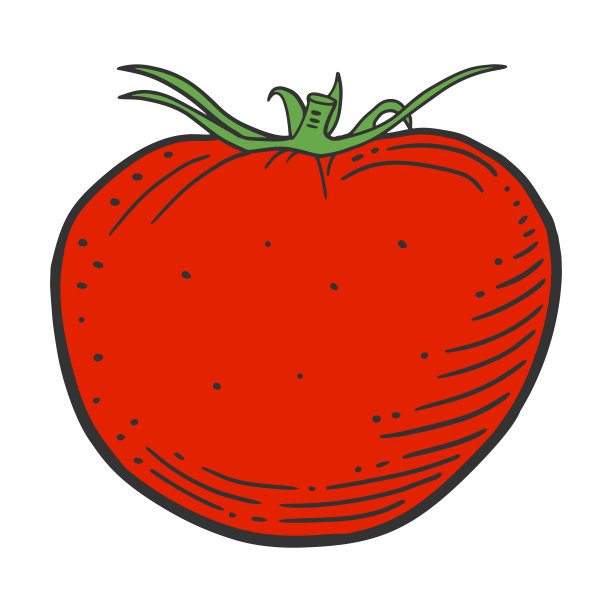 成熟的西红柿。矢量概念在涂鸦和素描风格。图片下载