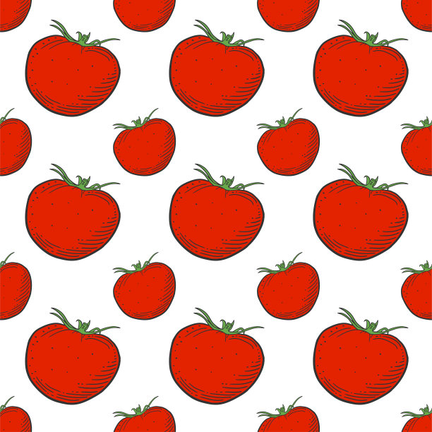 成熟的西红柿。矢量概念在涂鸦和素描风格。手工绘制的插图印刷在t恤，明信片。图片下载