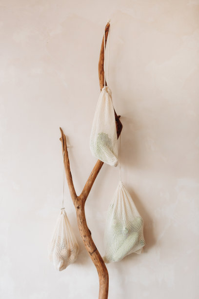 蔬菜枝叶概念生态洁净地球自然图片下载