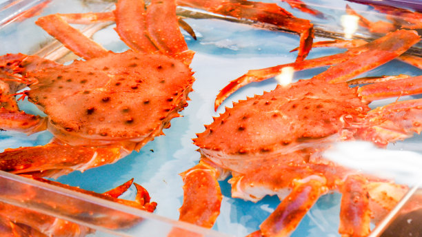 市场上的日本巨蟹图片下载