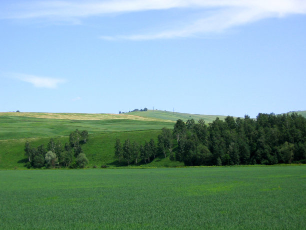 广阔的绿色草地，大面积种植，农学家耕种农业，在山上种植了英亩图片下载