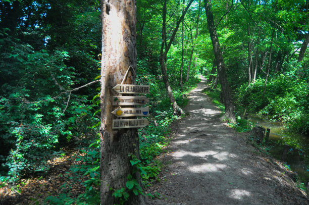 自然在米兰图片下载