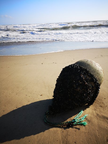 富恩吉罗拉海滩图片下载