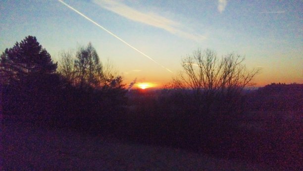 美丽的红色日出在森林。图片下载