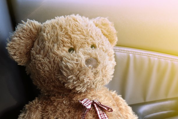 泰迪熊布朗接近孤独的感觉在我的车图片下载