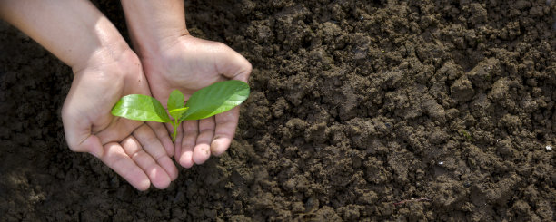 34、树有钱生，省钱生手。图片下载