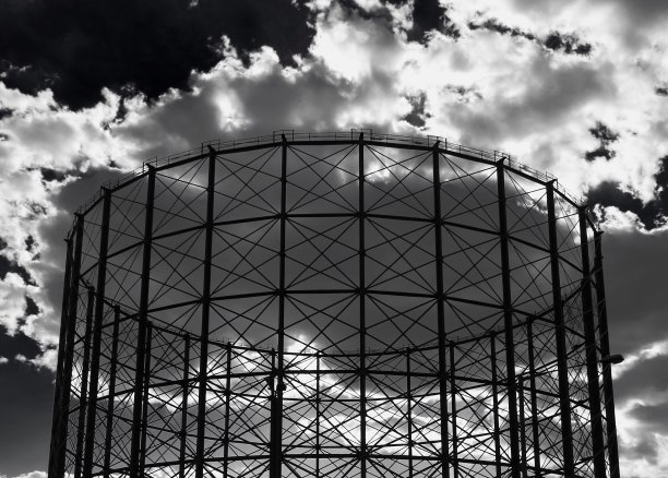 西廷 '漂亮图片下载