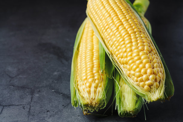 深色背景上的成熟玉米谷粒图片下载