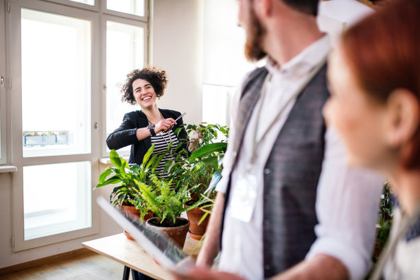一群年轻的商人用平板电脑办公，创业的概念。图片下载