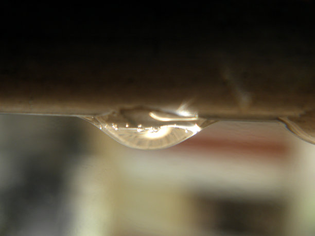 雨后美丽的水滴特写图片下载