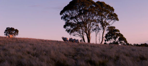 澳洲内陆的日落9665图片下载