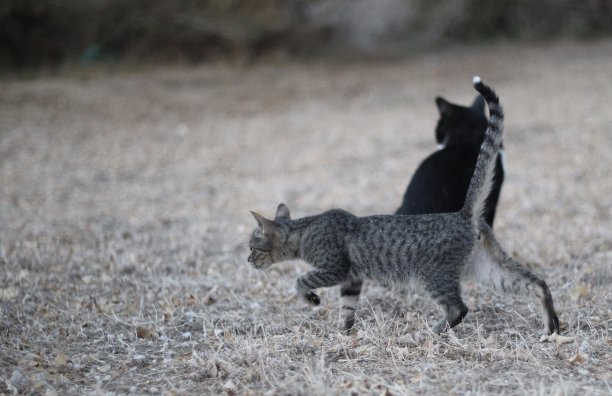 拥有这个地方图片下载