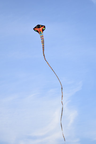 蛇风筝在天空中飞翔图片下载