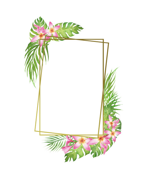 水彩热带边框框架与怪物，棕榈树叶和花鸡蛋花孤立在白色背景图片下载