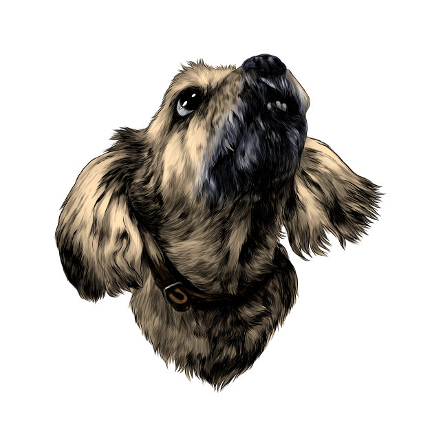 抬头看狗头图片下载