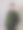 穿着传统服装的酷男在摆姿势图片下载