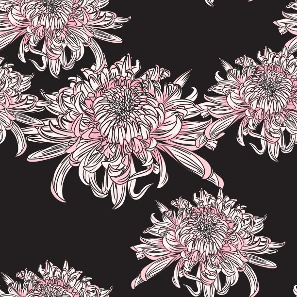 矢量无缝模式与菊花。手绘插图。风格化的国画，线条花，黑色背景图片下载