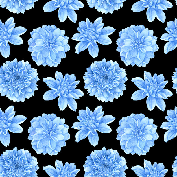 无缝图案与大丽花或牡丹在黑色背景。收集装饰性花卉设计元素。花，芽和叶手绘水彩。图片下载