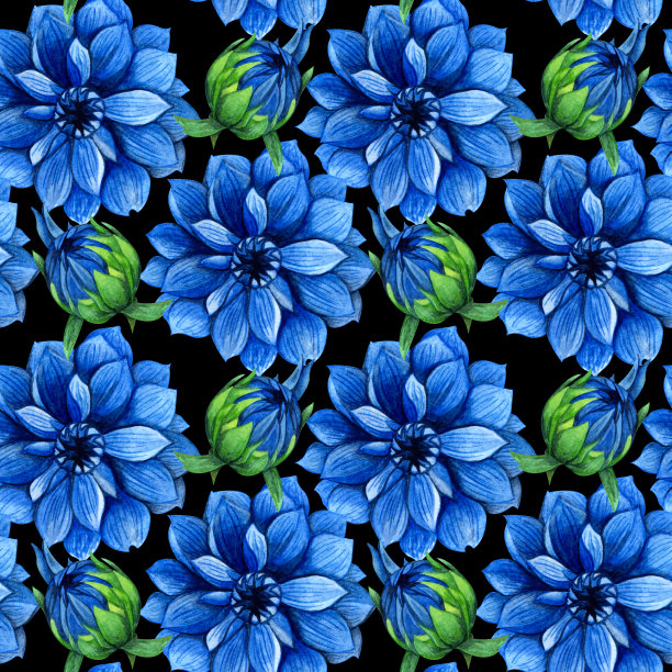 无缝图案与大丽花或牡丹在黑色背景。收集装饰性花卉设计元素。花，芽和叶手绘水彩。图片下载