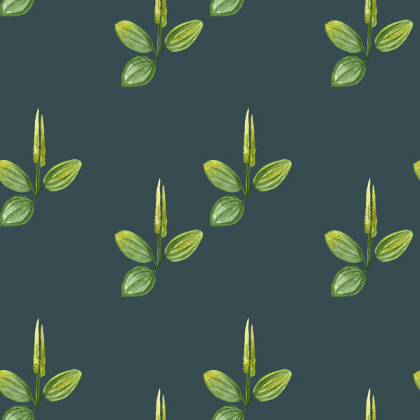 手绘模式无缝水彩大蕉与黄花和绿叶孤立在绿色背景图片下载