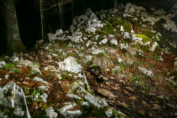 落基山的道路图片下载