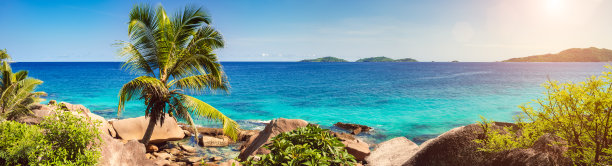 棕榈和热带海滩全景。拉迪格岛的安斯银源。塞舌尔图片下载