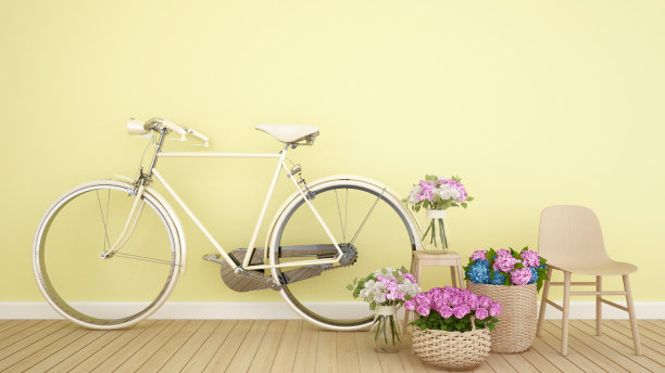 浅黄色房间的生活区上的自行车和五颜六色的花-艺术品室内模板设计- 3D渲染图片下载